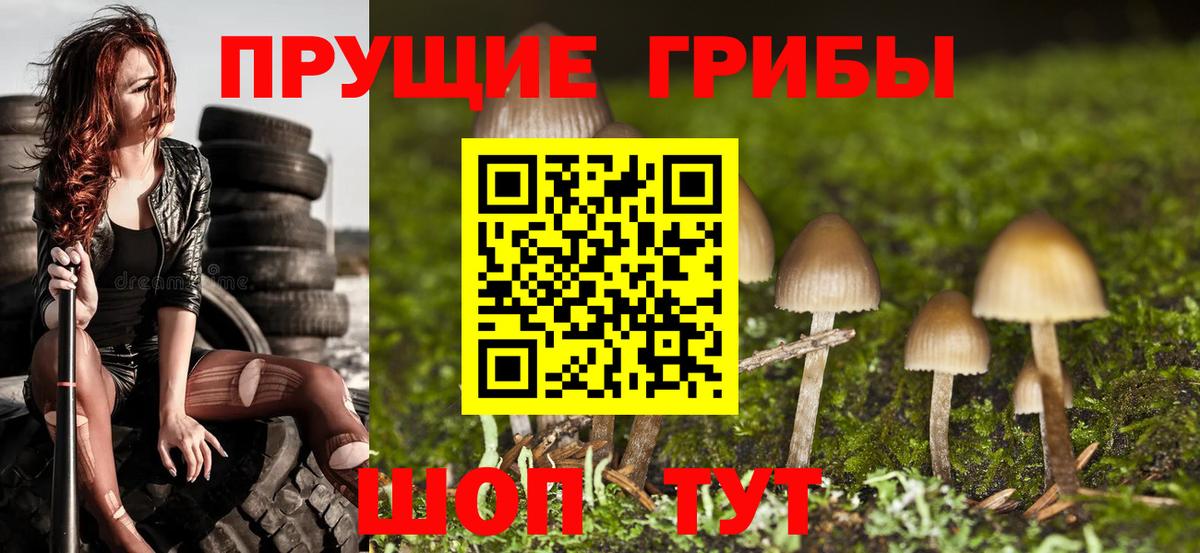 Псилоцибиновые грибы Magic Shrooms  Вход с VPN  Новоалександровск 