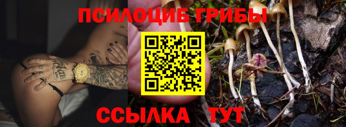 Псилоцибиновые грибы GOLDEN TEACHER Новоалександровск